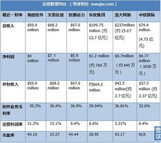 王星Vincent跨市场投资系列 软件外包服务公司的价值分析与投资机遇